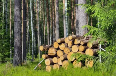 A Smart Choice for Sustainable Living